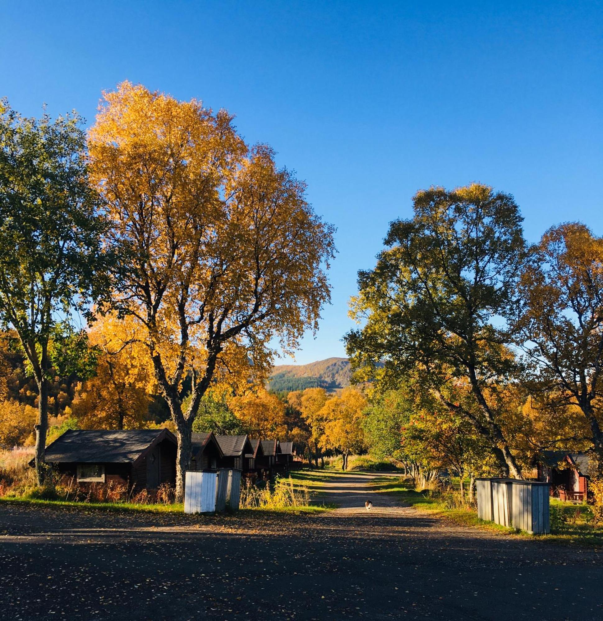 Sortland Camping Og Motell As Exteriér fotografie