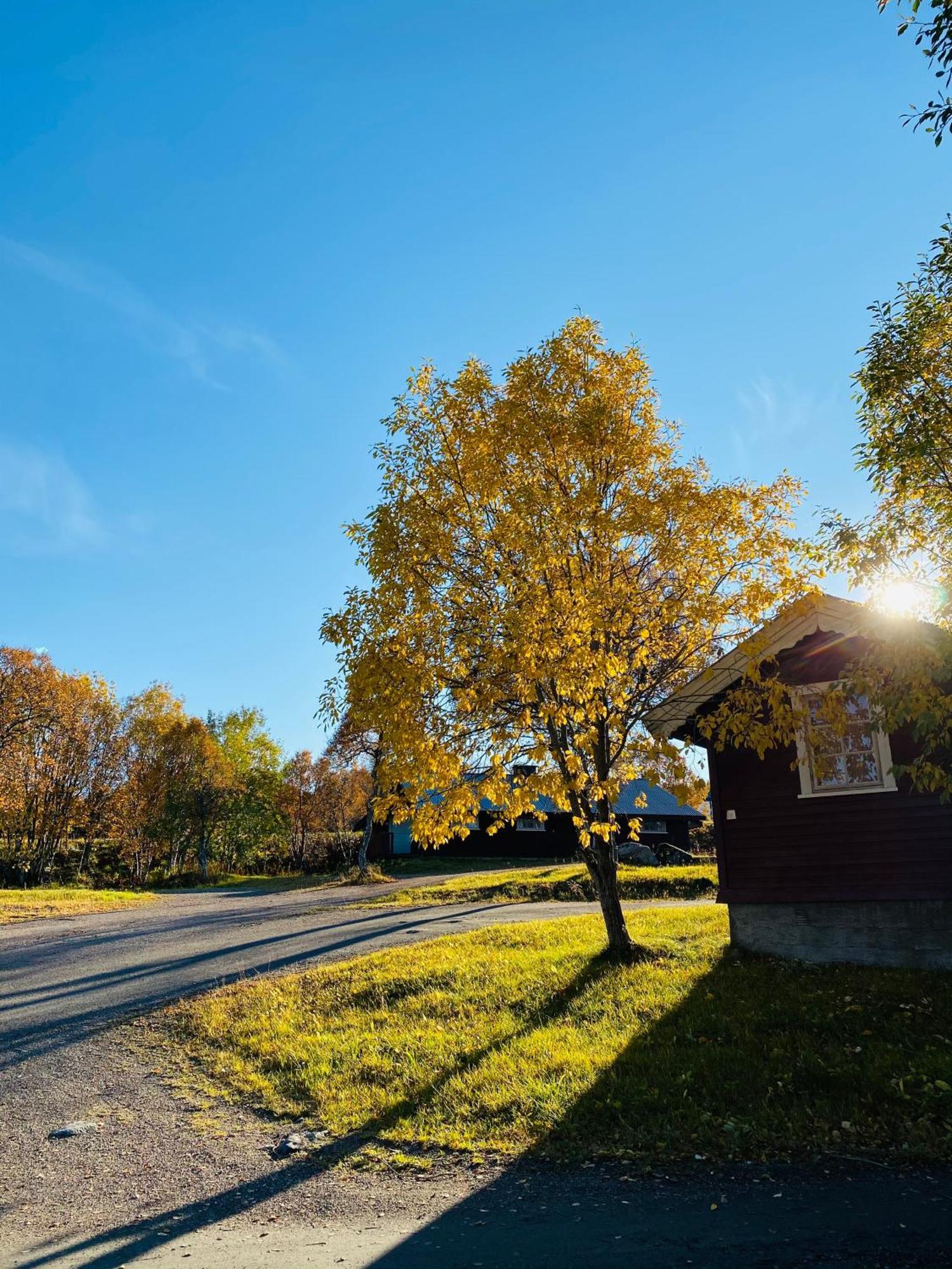 Sortland Camping Og Motell As Exteriér fotografie