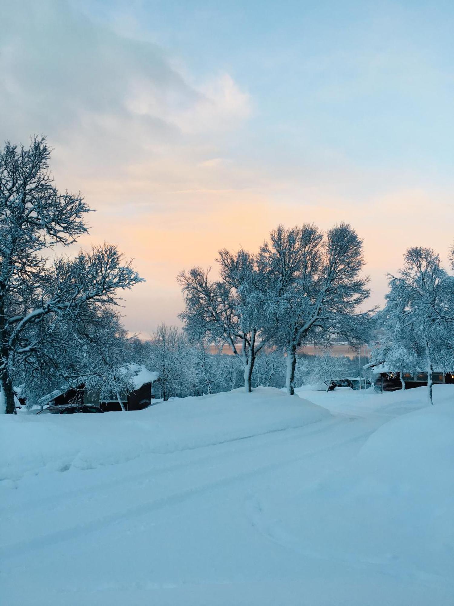 Sortland Camping Og Motell As Exteriér fotografie