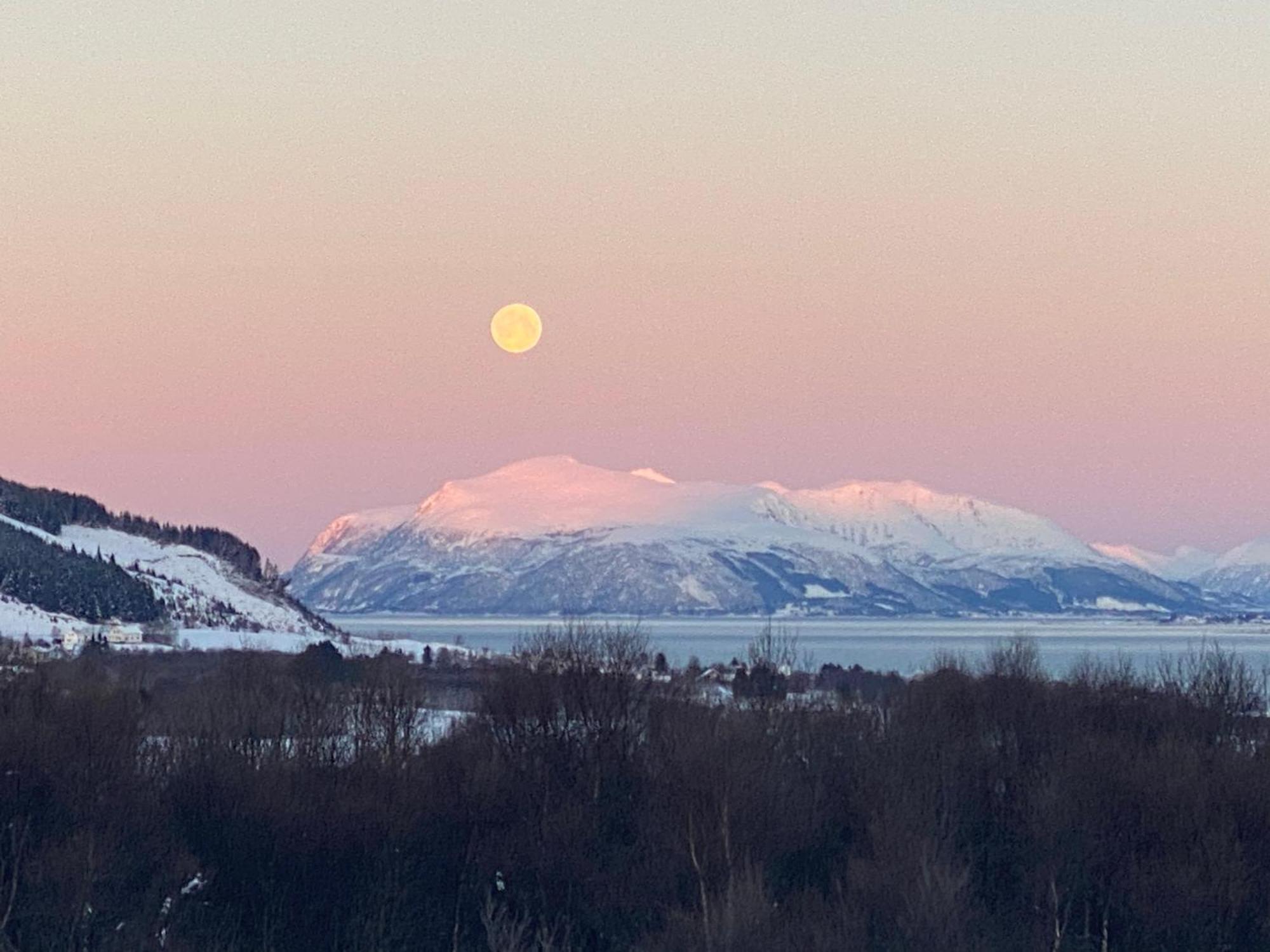 Sortland Camping Og Motell As Exteriér fotografie