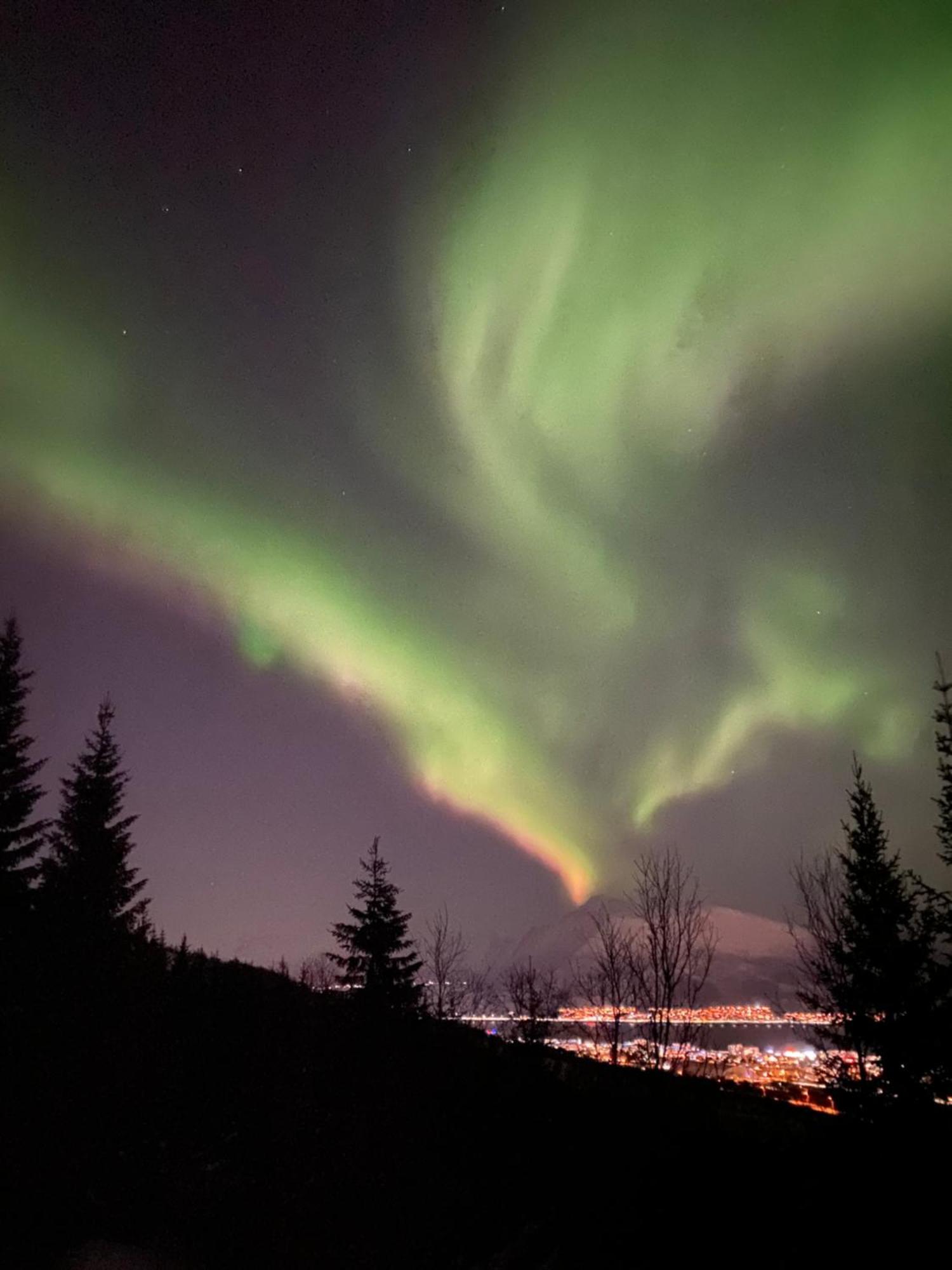 Sortland Camping Og Motell As Exteriér fotografie